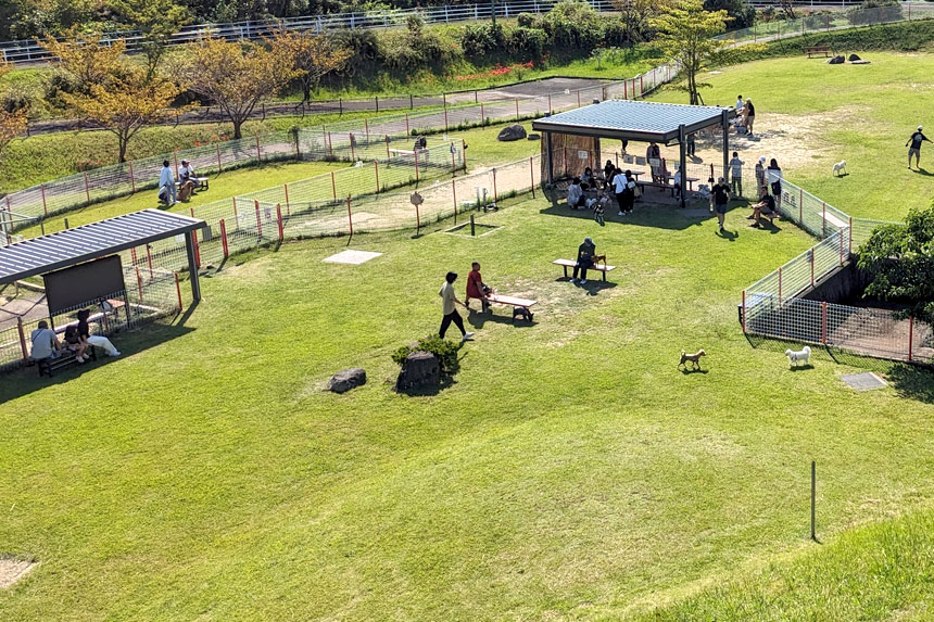 小型犬エリア（700㎡）