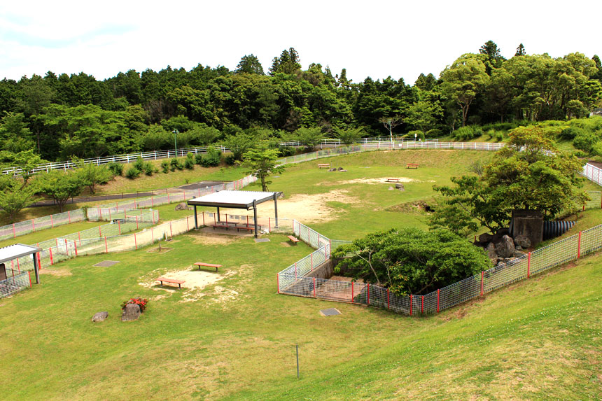 ドッグラン全景