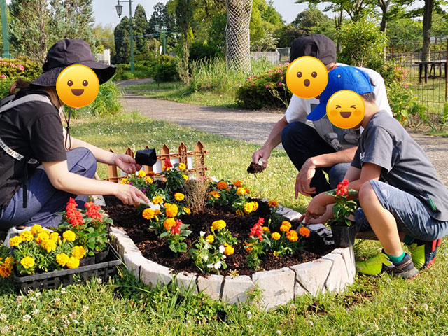 初夏のひとりひと花運動