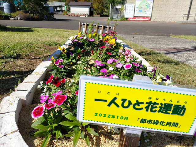 秋のひとりひと花運動